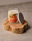 Pumpkin Clove Single Wick Candle image number null