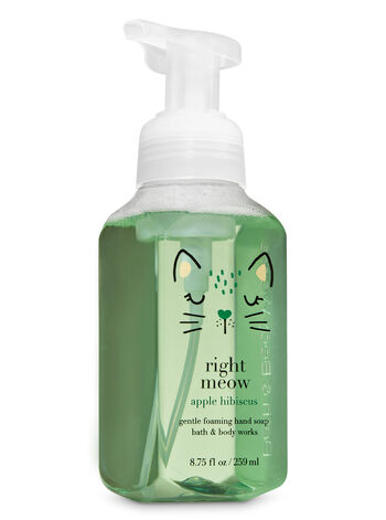 Apple Hibiscus Foaming Hand Soap Gentle Foaming Hand Soap