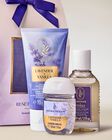 Lavender Vanilla Gift Set image number null