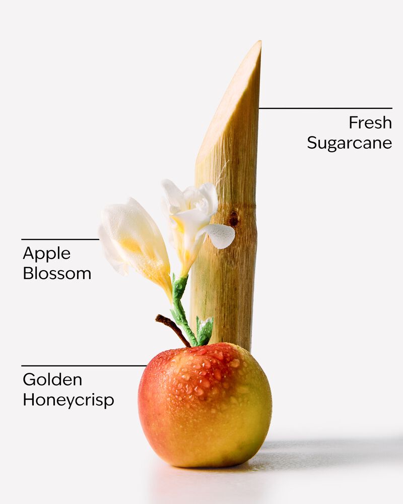 Honeycrisp Apple Wallflowers Fragrance Refill Wallflowers Fragrance Refill