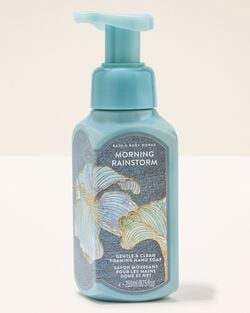 Morning Rainstorm Gentle & Clean Foaming Hand Soap image number null
