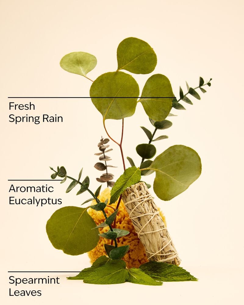 Eucalyptus Spearmint Moisturizing Body Lotion Moisturizing Body Lotion