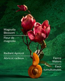 Mulan Lip Gloss image number null