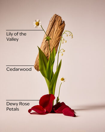 Black Chamomile Gift Set Gift Box