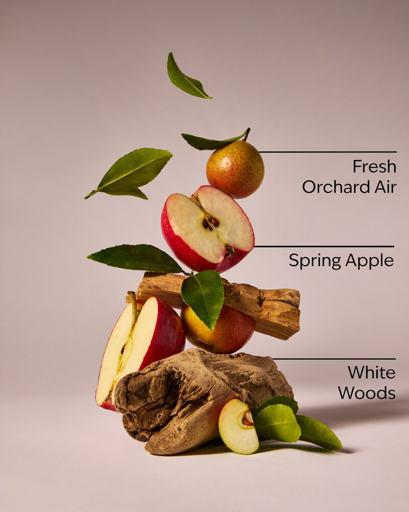 Blue Orchard Skies Gentle & Clean Foaming Hand Soap Gentle & Clean Foaming Hand Soap