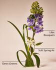 Fresh Cut Lilacs Body Wash & Shower Gel image number null