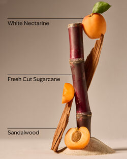 Fiji White Sands Single Wick Candle image number null