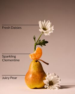 Gingham Fresh Travel Size Fine Fragrance Mist image number null