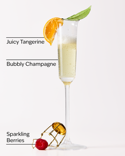 Champagne Toast Foaming Hand Soap