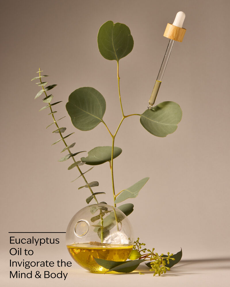 Eucalyptus Body Wash & Foam Bath Body Wash & Foam Bath