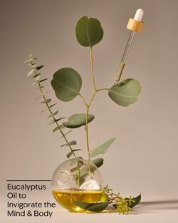 Eucalyptus Body Wash & Foam Bath image number null