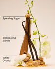 Warm Vanilla Sugar Travel Size Fine Fragrance Mist image number null