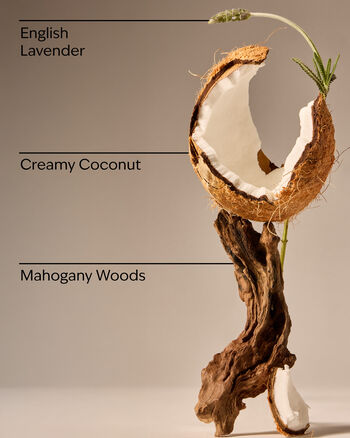 Mahogany Coconut Signature Single Wick Candle Single Wick Candle