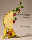 Pineapple Mango Single Wick Candle image number null
