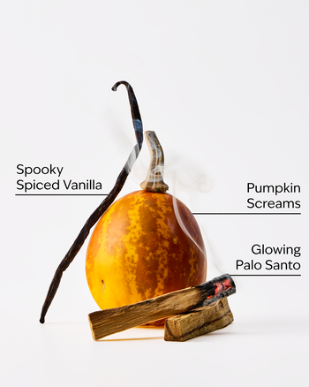 Jack Skellington PocketBac Hand Sanitizer Pocketbac Hand Sanitizer