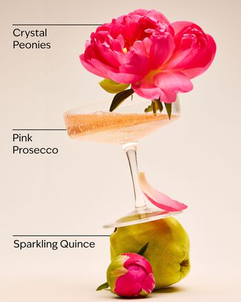 A Thousand Wishes Lip Gloss Lip Gloss