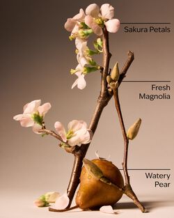 Forever Cherry Blossom Body Lotion image number null