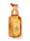 Churro Cinnamon Bun Gentle & Clean Foaming Hand Soap image number null