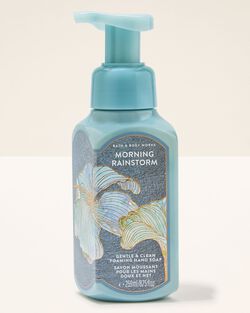 Morning Rainstorm Gentle & Clean Foaming Hand Soap image number null