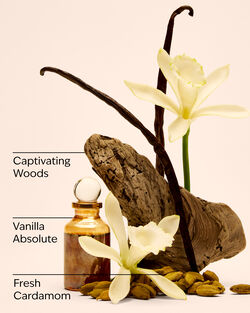 Vanilla Romance Travel Size Ultimate Hydration Body Cream image number null