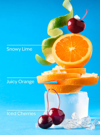 Winterberry Ice Signature Single Wick Candle Signature Single Wick Candle