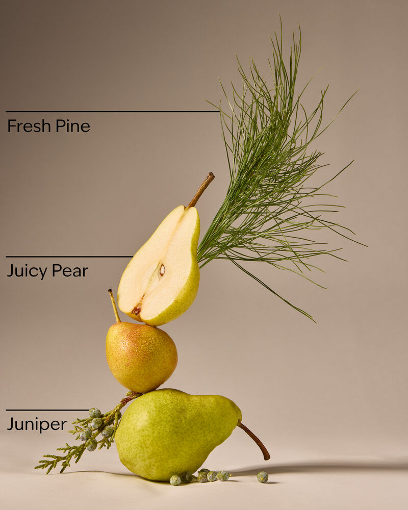 Crisp Morning Air Gentle & Clean Foaming Hand Soap Gentle & Clean Foaming Hand Soap