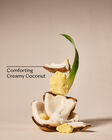 Coco Shea Gift Set image number null