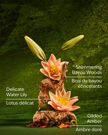 Tiana Body Wash Body Wash