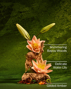 Tiana Ultimate Hydration Body Cream image number null