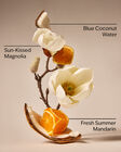 Endless Weekend Car Fragrance Refill image number null
