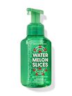 Watermelon Slices Gentle & Clean Foaming Hand Soap image number null