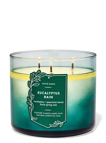 Eucalyptus Rain 3-Wick Candle 3-Wick Candle