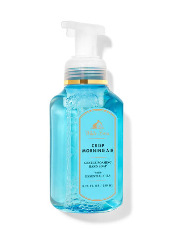 Crisp Morning Air Gentle Foaming Hand Soap Gentle Foaming Hand Soap