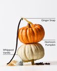 Sweet Cinnamon Pumpkin Gentle & Clean Foaming Hand Soap Refill image number null