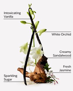 Warm Vanilla Sugar Fine Fragrance Mist image number null