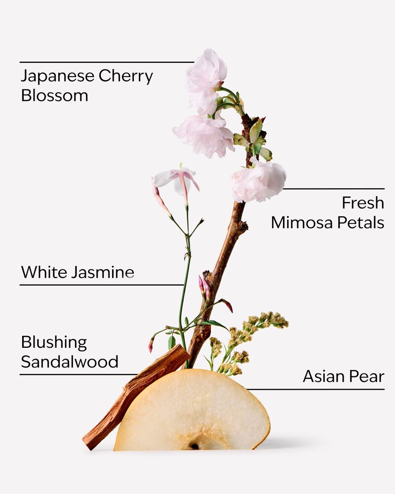 Japanese Cherry Blossom Eau De Parfum Eau De Parfum