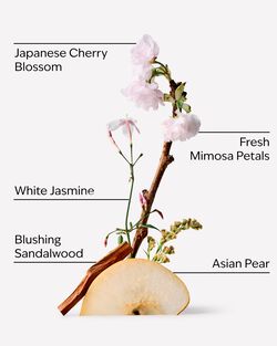 Japanese Cherry Blossom Eau De Parfum image number null