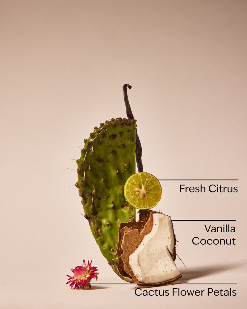 Cactus Blossom Wallflowers Fragrance Refill Wallflowers Fragrance Refill