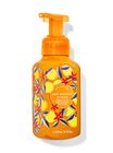 Sun-Washed Citrus Gentle & Clean Foaming Hand Soap image number null