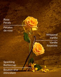 Belle Ultimate Hydration Body Cream image number null