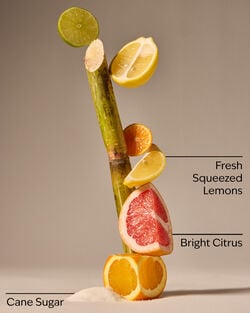 Sunshine & Lemons Hand Sanitizer Spray