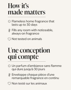 Ocean Town Bound Wallflowers Fragrance Refill image number null