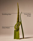 Cool Aloe Water Daily Moisturizing Hand Soap image number null