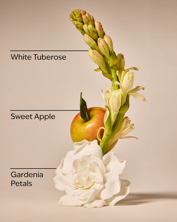 White Gardenia Single Wick Candle Single Wick Candle