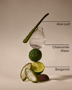 Fresh Rainfall Hand Sanitizer Spray