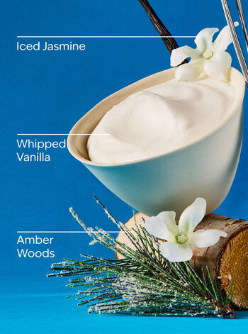 Vanilla Icicles Gentle & Clean Foaming Hand Soap Gentle & Clean Foaming Hand Soap