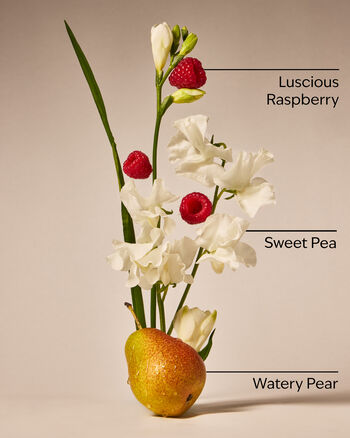Sweet Pea 3-Wick Candle 3-Wick Candle