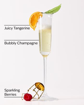 Champagne Toast Gift Bag Set Gift Bag Set