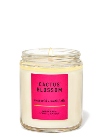 Cactus Blossom Single Wick Candle Single Wick Candle