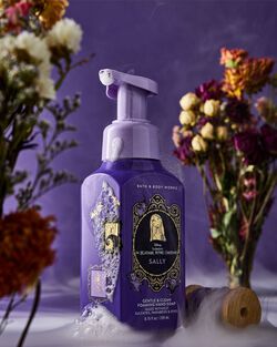 Sally Gentle & Clean Foaming Hand Soap image number null